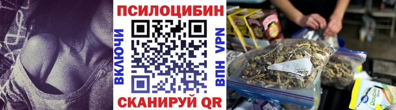 Псилоцибиновые грибы Cubensis  Сковородино 